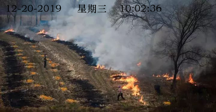 սոǼءԶƵصϵͲ